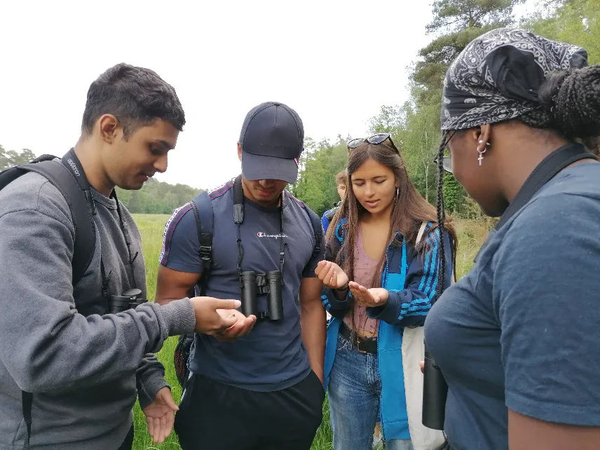 A group of four young people working together in a field.